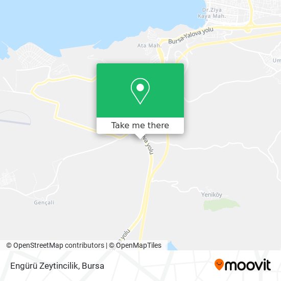 Engürü Zeytincilik map