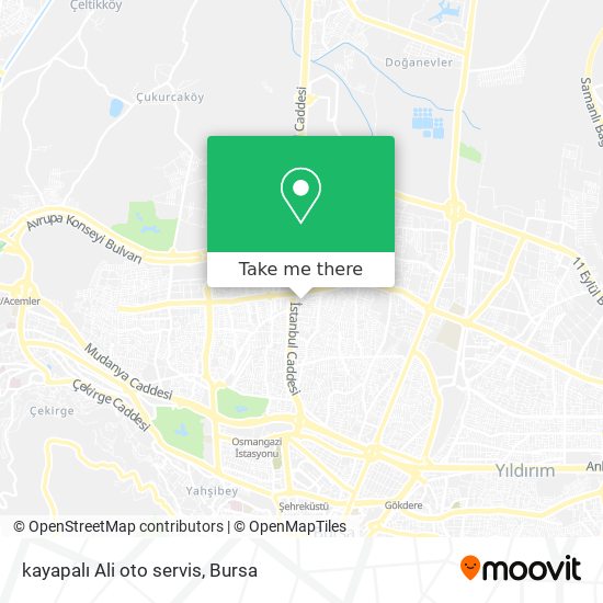 kayapalı Ali oto servis map