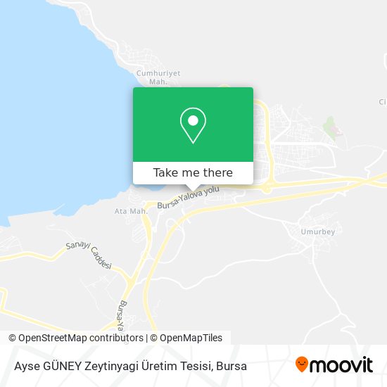 Ayse GÜNEY Zeytinyagi Üretim Tesisi map