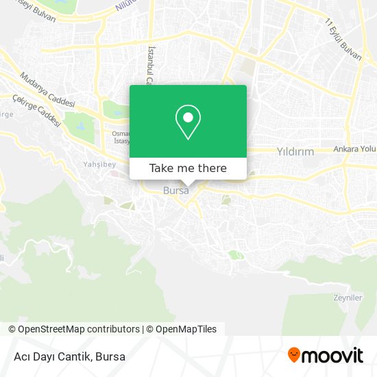 Acı Dayı Cantik map