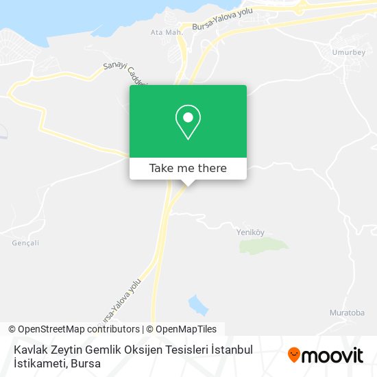 Kavlak Zeytin Gemlik Oksijen Tesisleri İstanbul İstikameti map