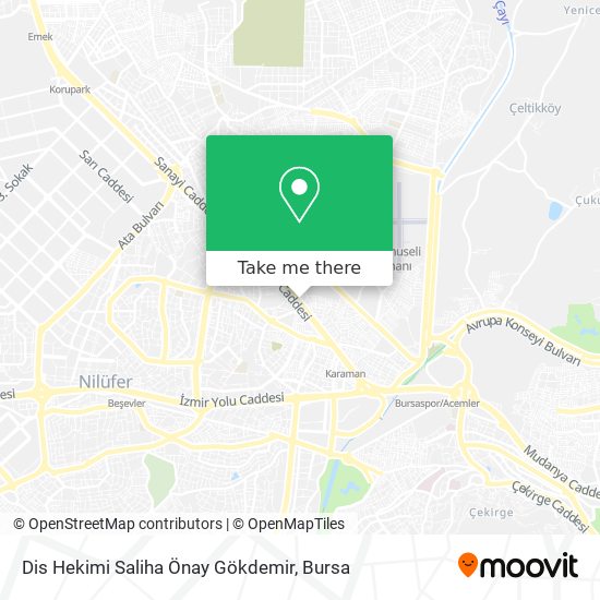 Dis Hekimi Saliha Önay Gökdemir map