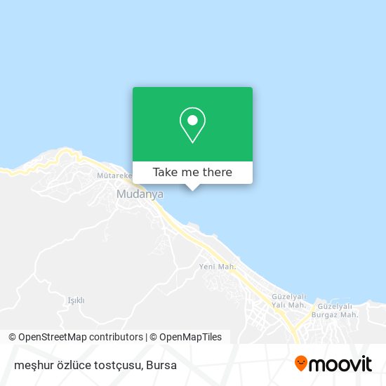 meşhur özlüce tostçusu map