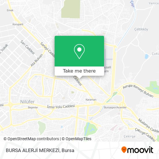 BURSA ALERJİ MERKEZİ map