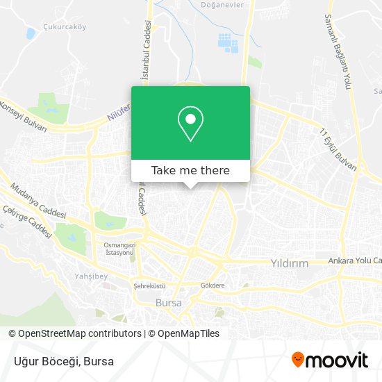 Uğur Böceği map