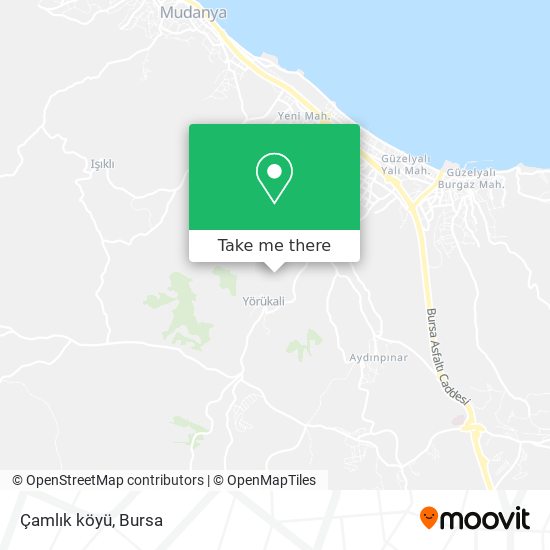 Çamlık köyü map