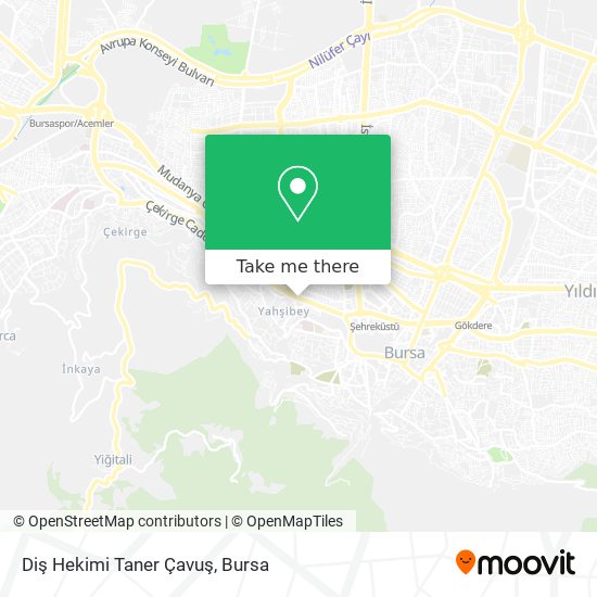 Diş Hekimi Taner Çavuş map