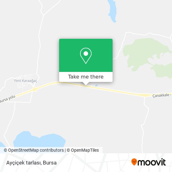 Ayçiçek tarlası map