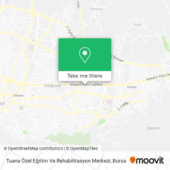 Tuana Özel Eğitim Ve Rehabilitasyon Merkezi map