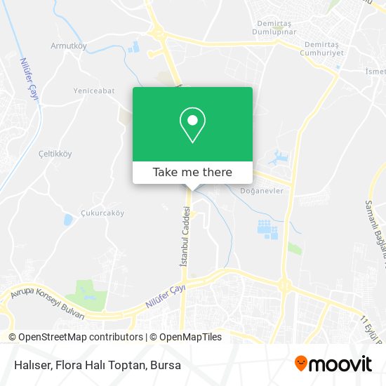 Halıser, Flora Halı Toptan map