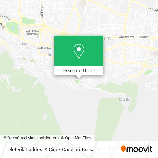 Teleferik Caddesi & Çiçek Caddesi map