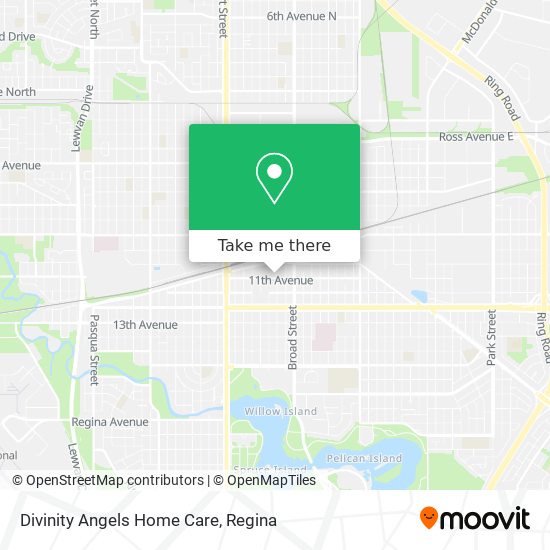 Divinity Angels Home Care plan