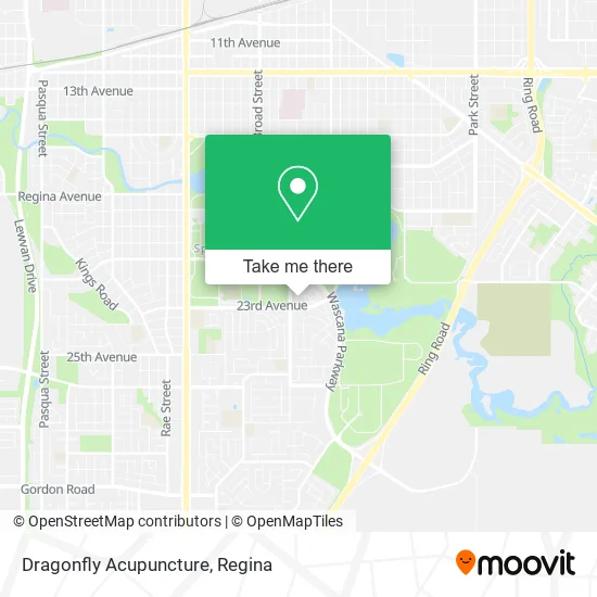Dragonfly Acupuncture map