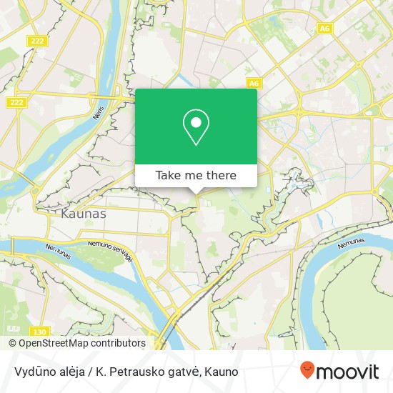 Карта Vydūno alėja / K. Petrausko gatvė