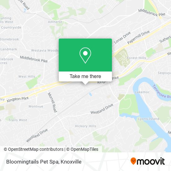 Bloomingtails Pet Spa map