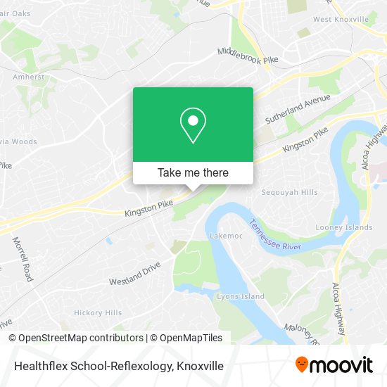 Healthflex School-Reflexology map