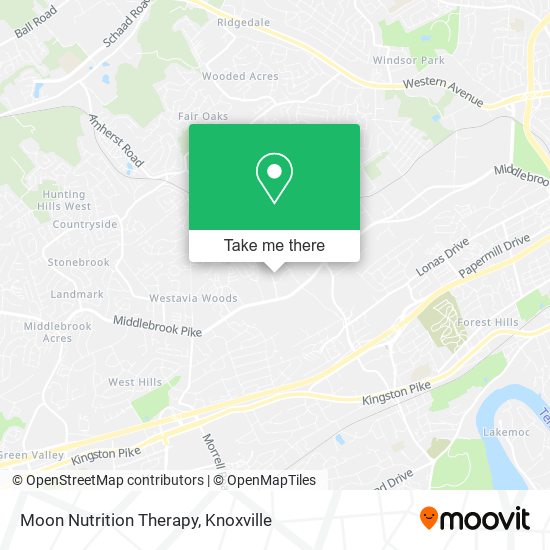 Mapa de Moon Nutrition Therapy