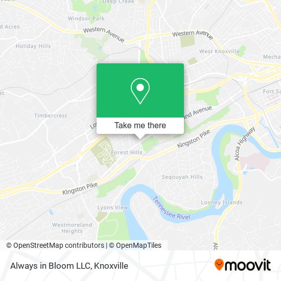 Always in Bloom LLC map