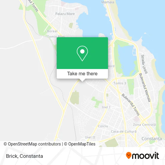 Brick map