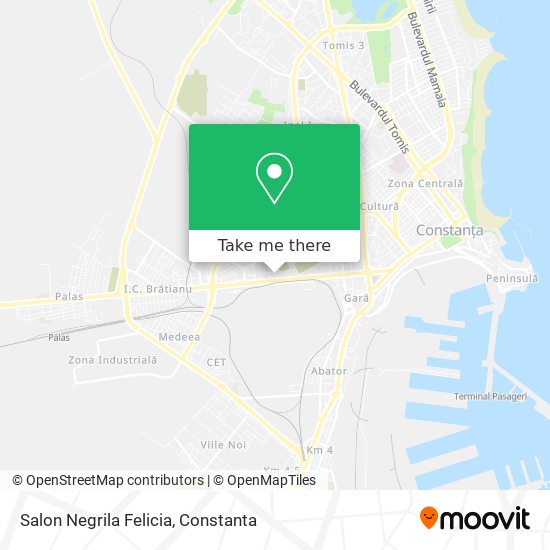 Salon Negrila Felicia map