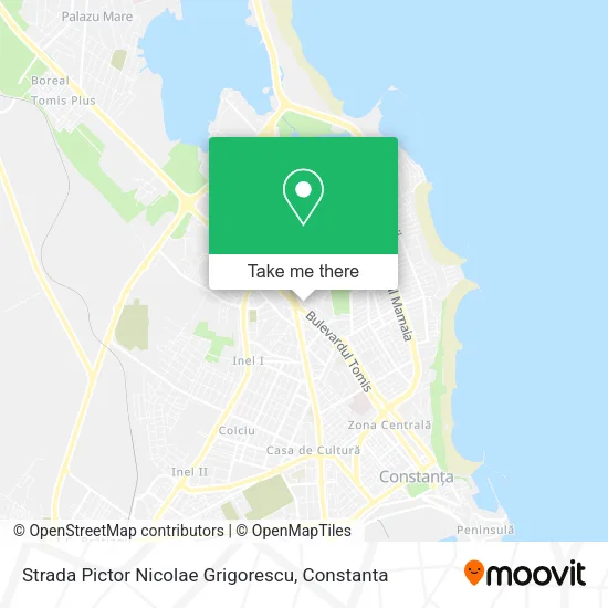 Strada Pictor Nicolae Grigorescu map