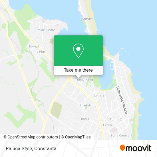 Raluca Style map