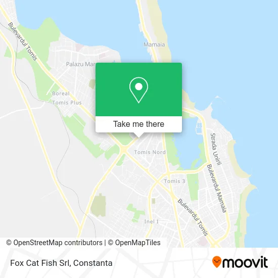 Fox Cat Fish Srl map