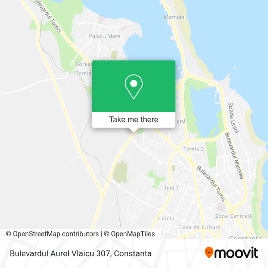 Bulevardul Aurel Vlaicu 307 map