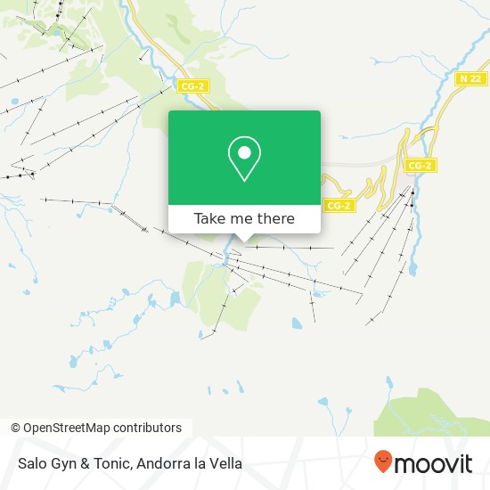 Salo Gyn & Tonic map