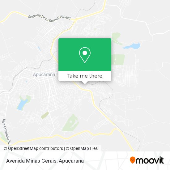 Mapa Avenida Minas Gerais