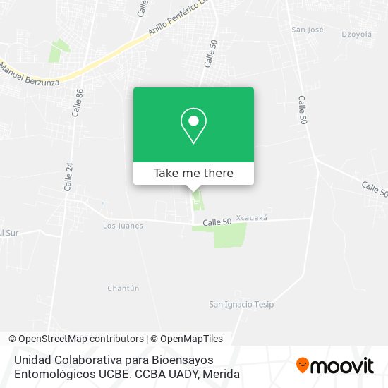 Unidad Colaborativa para Bioensayos Entomológicos UCBE. CCBA UADY map