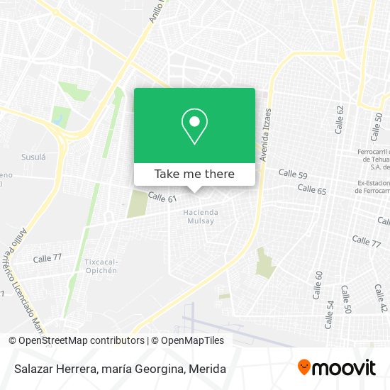 Salazar Herrera, maría Georgina map