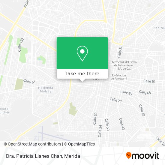 Mapa de Dra. Patricia Llanes Chan