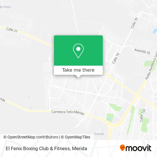 El Fenix Boxing Club & Fitness map