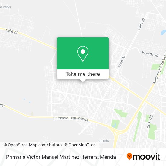 Primaria Victor Manuel Martinez Herrera map