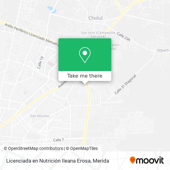 Mapa de Licenciada en Nutrición Ileana Erosa