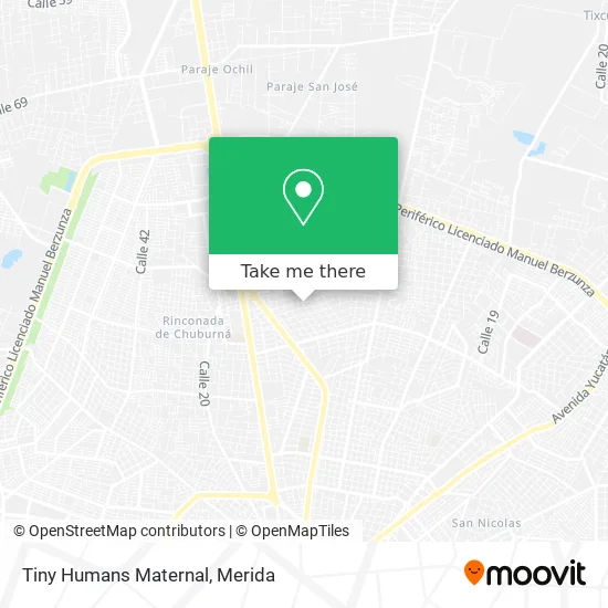 Tiny Humans Maternal map