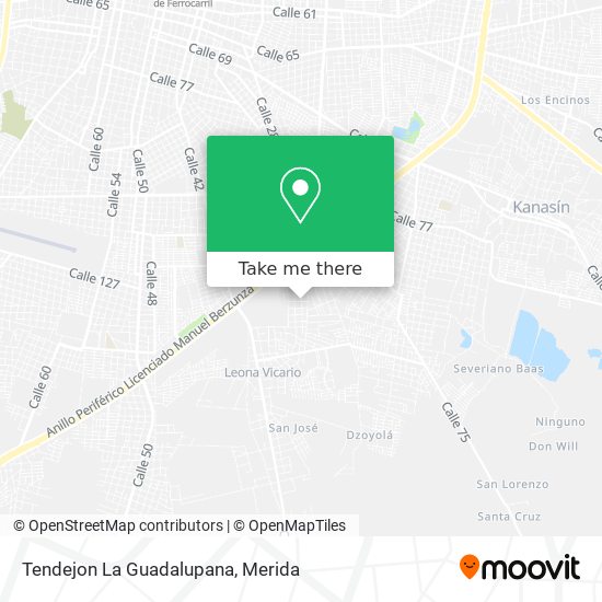 Tendejon La Guadalupana map