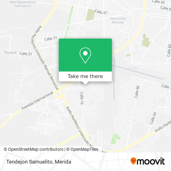 Tendejon Samuelito map