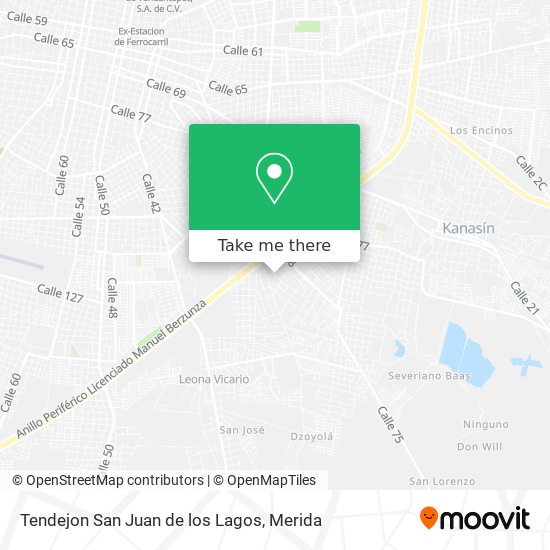 Tendejon San Juan de los Lagos map