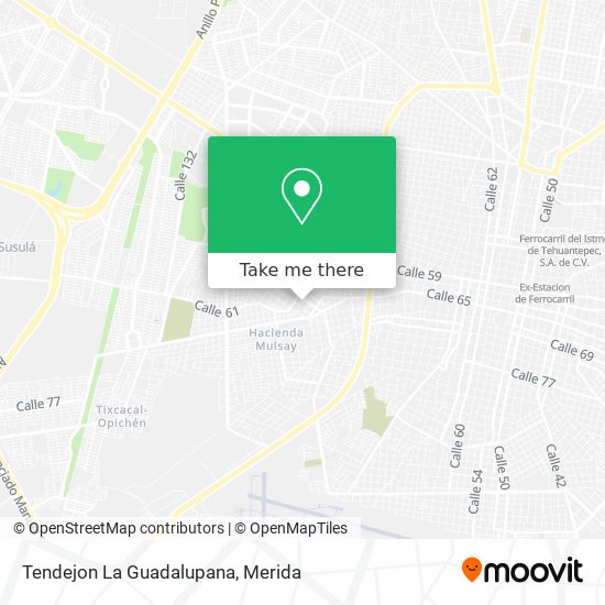Tendejon La Guadalupana map