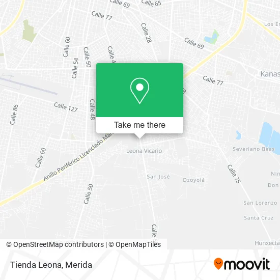 Tienda Leona map