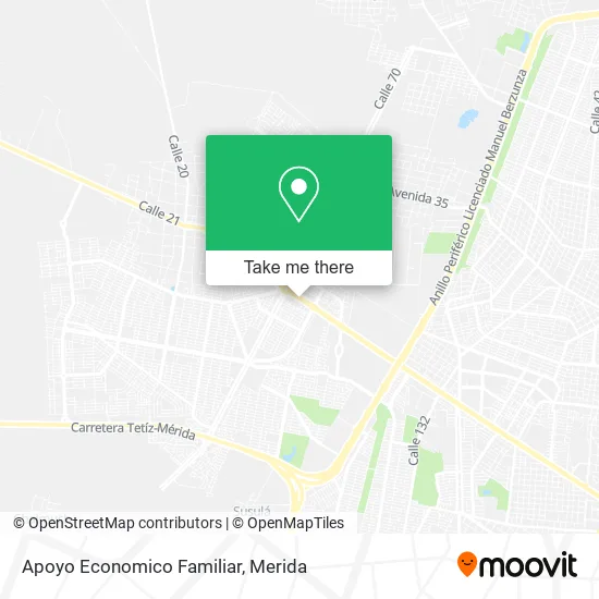 Mapa de Apoyo Economico Familiar