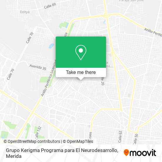 Grupo Kerigma Programa para El Neurodesarrollo map