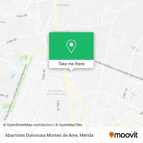 Mapa de Abarrotes Dunosusa Montes de Ame