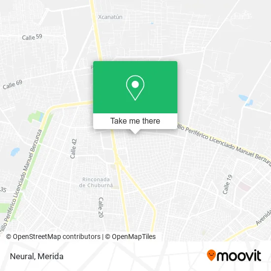 Mapa de Neural