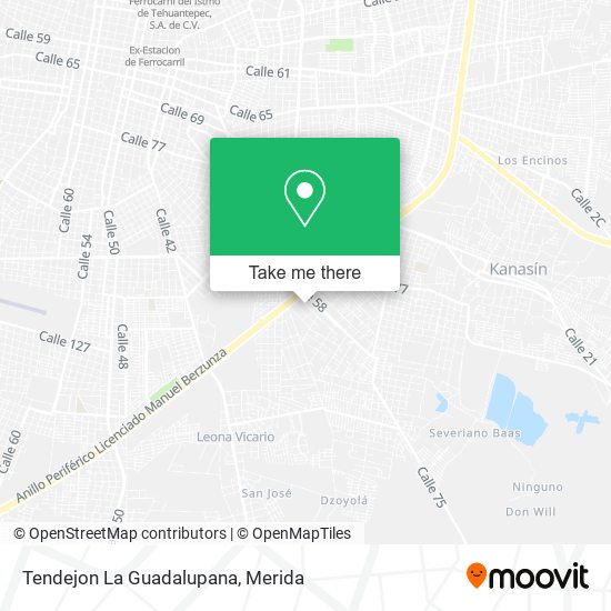 Mapa de Tendejon La Guadalupana