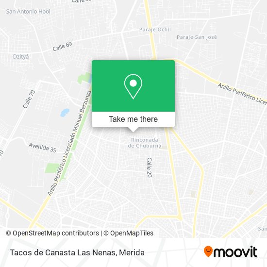 Tacos de Canasta Las Nenas map