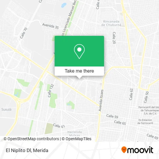 El Niplito Dl map