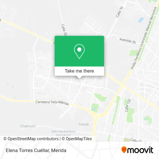 Mapa de Elena Torres Cuéllar
